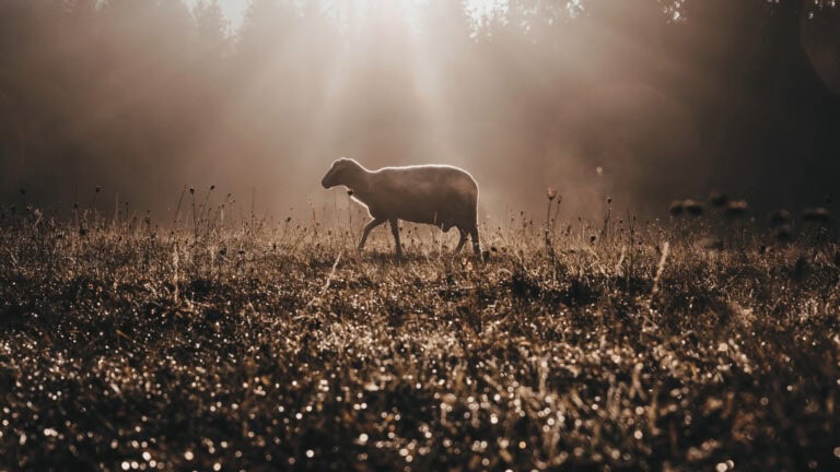Solus Christus: The Exclusive Sufficiency of Christ